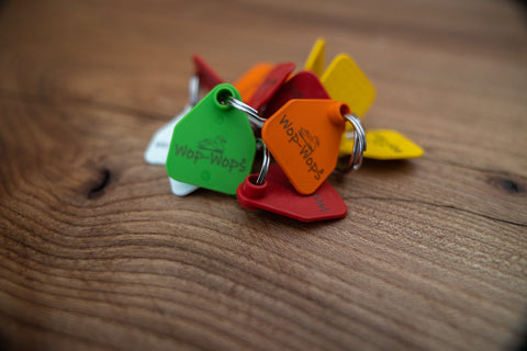 Ear Tag Key Ring